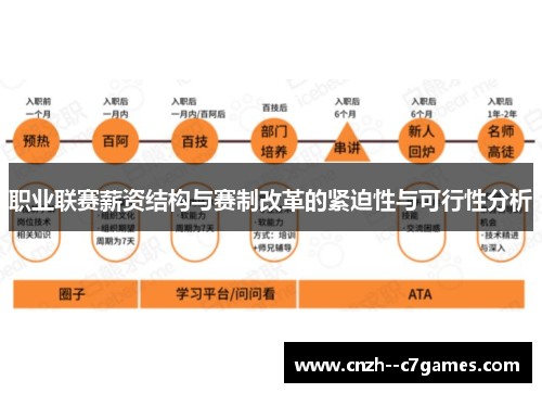 职业联赛薪资结构与赛制改革的紧迫性与可行性分析