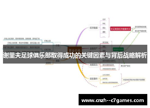 谢里夫足球俱乐部取得成功的关键因素与背后战略解析 谢里夫足球俱乐部取得成功的关键因素与背后战略解析