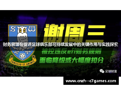 财务管理在促进足球俱乐部可持续发展中的关键作用与实践探索 财务管理在促进足球俱乐部可持续发展中的关键作用与实践探索