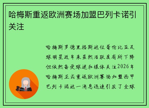 哈梅斯重返欧洲赛场加盟巴列卡诺引关注 哈梅斯重返欧洲赛场加盟巴列卡诺引关注